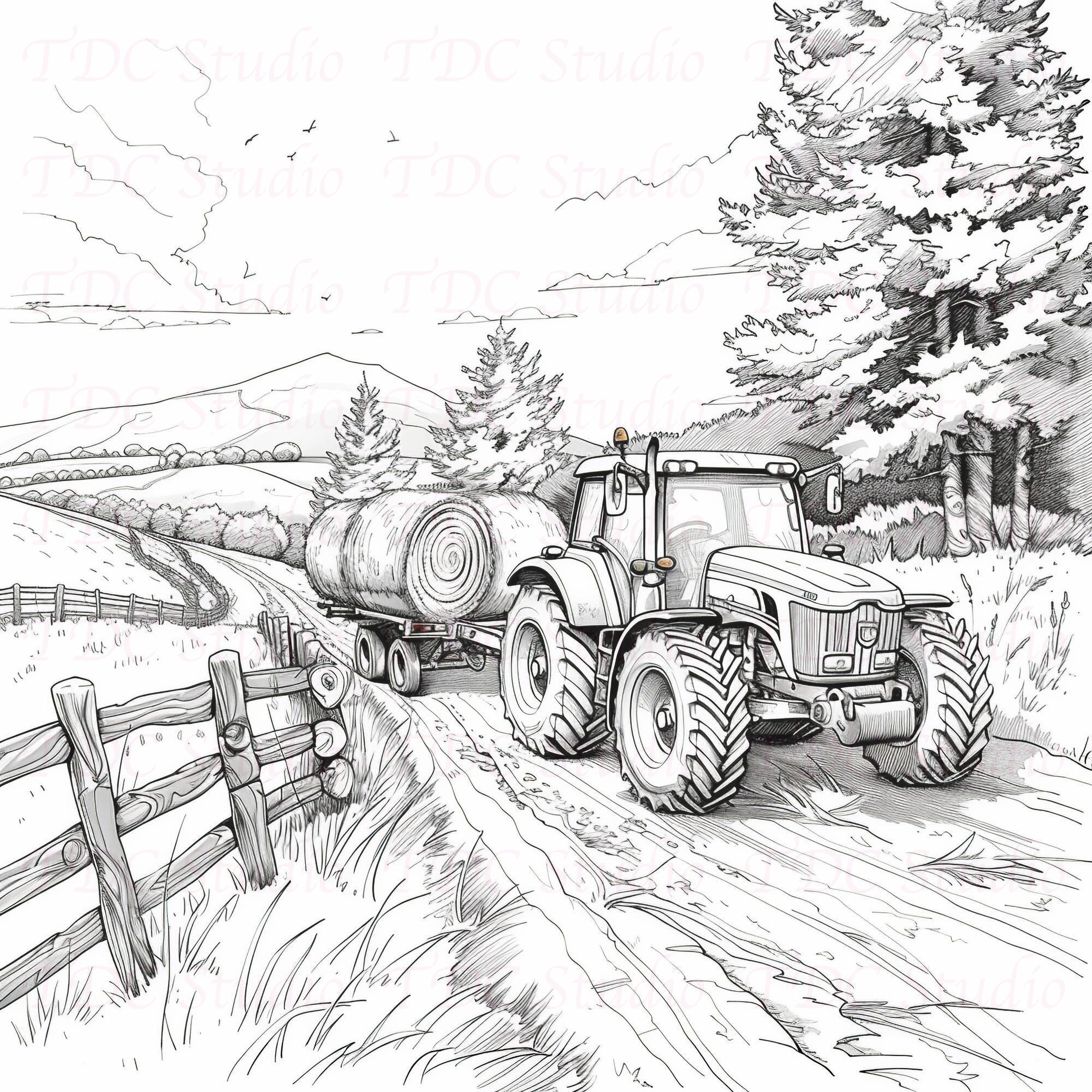 Country Life Coloring Book